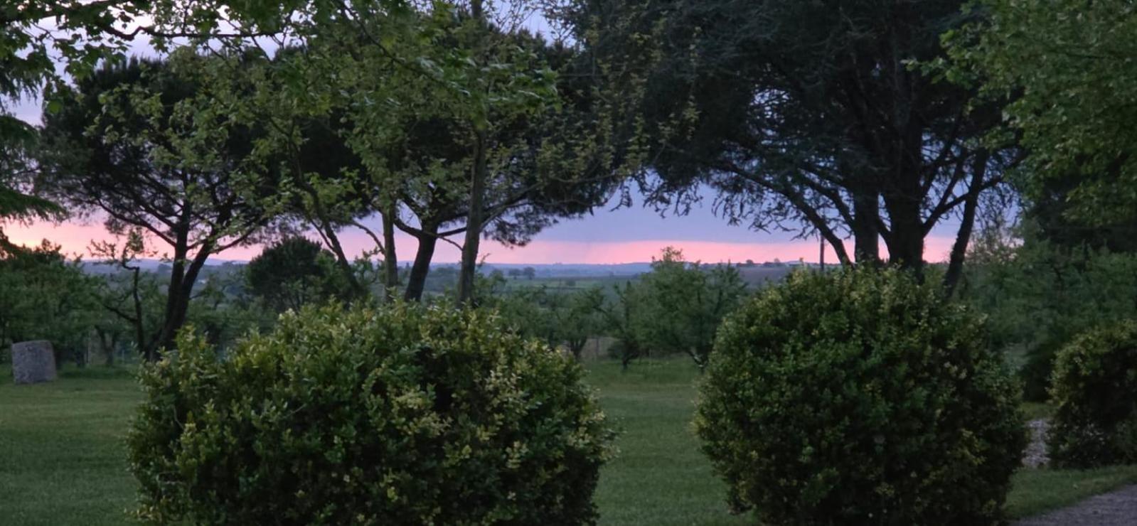 Gite De Beausoleil La Romieu Zewnętrze zdjęcie